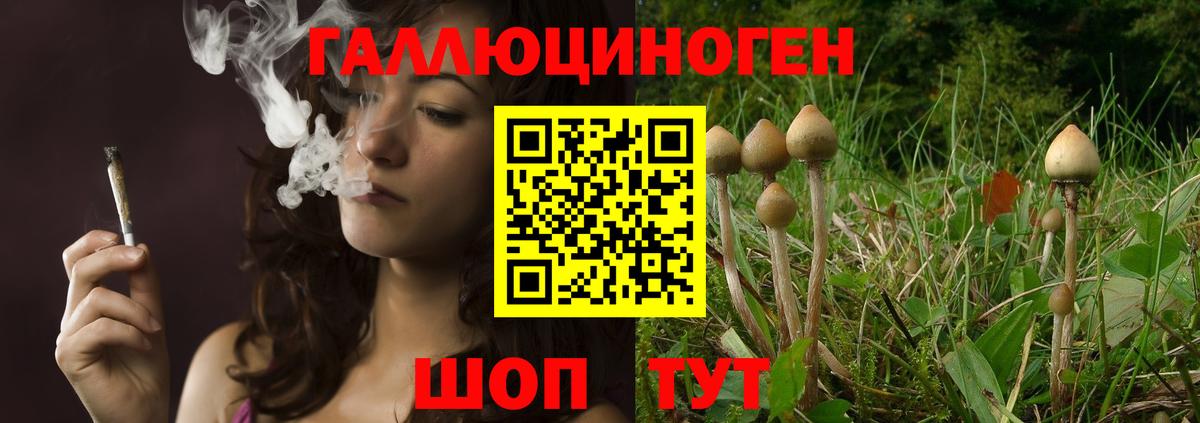 купить  цена  Вход с VPN  Усть-Джегута  Галлюциногенные грибы Cubensis  Псилоцибиновые грибы Psilocybine cubensis 