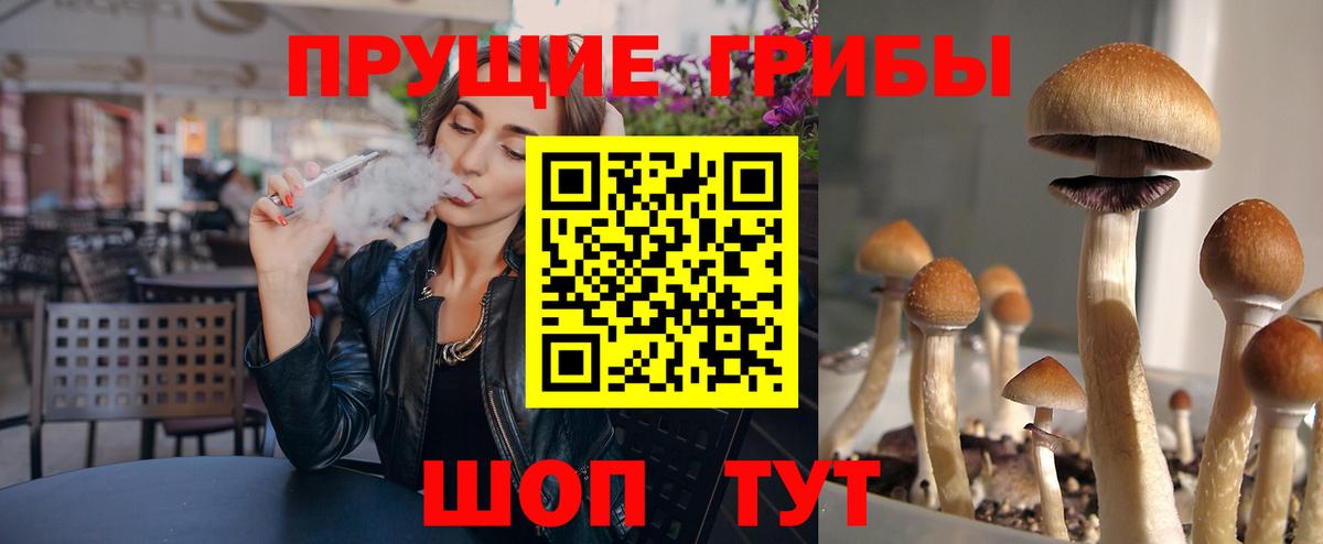 Псилоцибиновые грибы Magic Shrooms Усть-Джегута
